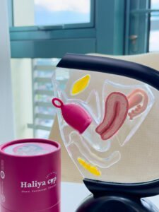 Haliya Cup Menstrual Cup how it looks like inside the vagina with female reproductive system model